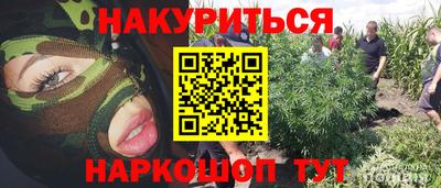 тгк Будённовск