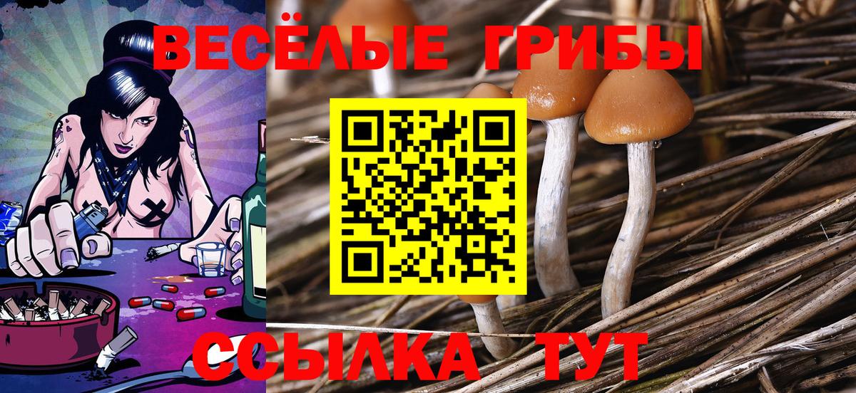 Галлюциногенные грибы MAGIC MUSHROOMS Спасск-Дальний