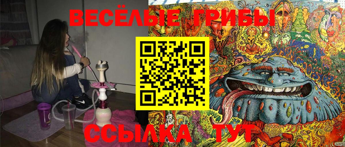 Спасск-Дальний  Псилоцибиновые грибы прущие грибы  Псилоцибиновые грибы ЛСД  Вход с VPN 
